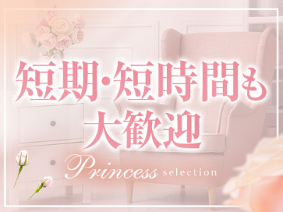プリンセスセレクション谷9(日本橋)の求人情報 (出稼ぎメリット紹介 1枚目)