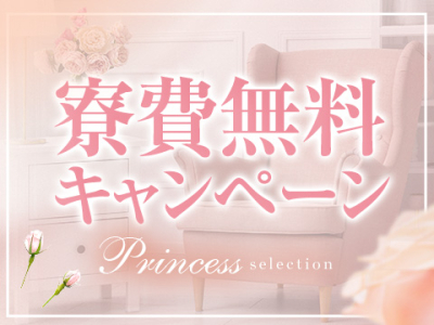 プリンセスセレクション谷9(日本橋)の求人情報 (出稼ぎメリット紹介 2枚目)