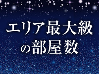 FROG SPA~フロッグスパ~(日本橋)のメンズエステ求人・高収入バイトPR画像(出稼ぎメリット紹介2)