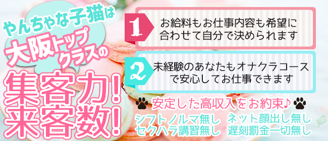 やんちゃな子猫堂山店 梅田 のホテヘル求人 高収入求人なら ココア