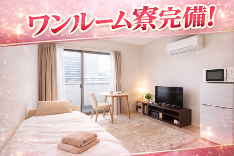 ノーパンパンスト スケベなOL梅田・兎我野店(梅田)のホテヘル求人・高収入バイトPR画像(寮の紹介1)