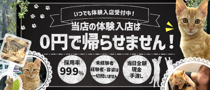 進撃の妻 厚木店の求人画像3