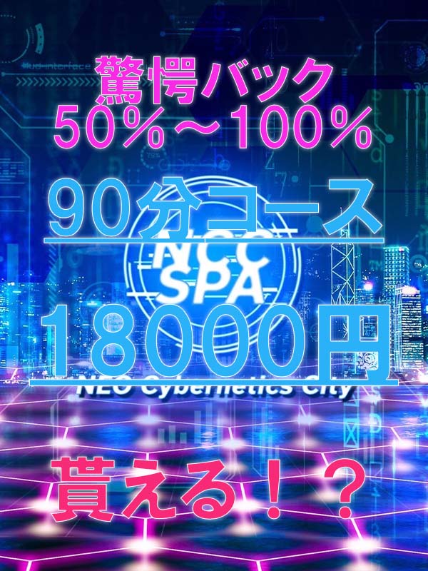 NEO Cybernetics City-NCC SPA-の給与明細画像1
