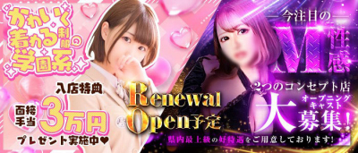 STAR学園(徳島市近郊)のデリヘル求人・高収入バイトPR画像(出稼ぎメリット紹介1)
