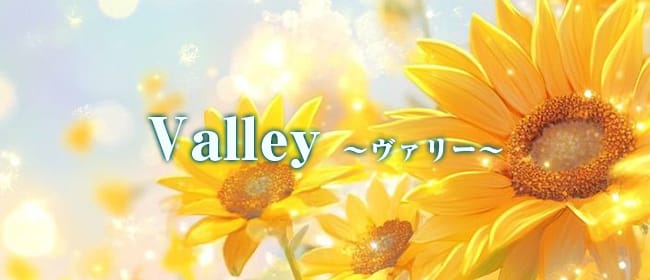 Valley ～ヴァリー～(名古屋)のメンズエステ求人・アピール画像1