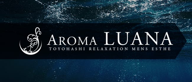 AROMA LUANA ~アロマ ルアーナ~(豊橋・豊川(東三河))のメンズエステ求人・アピール画像1