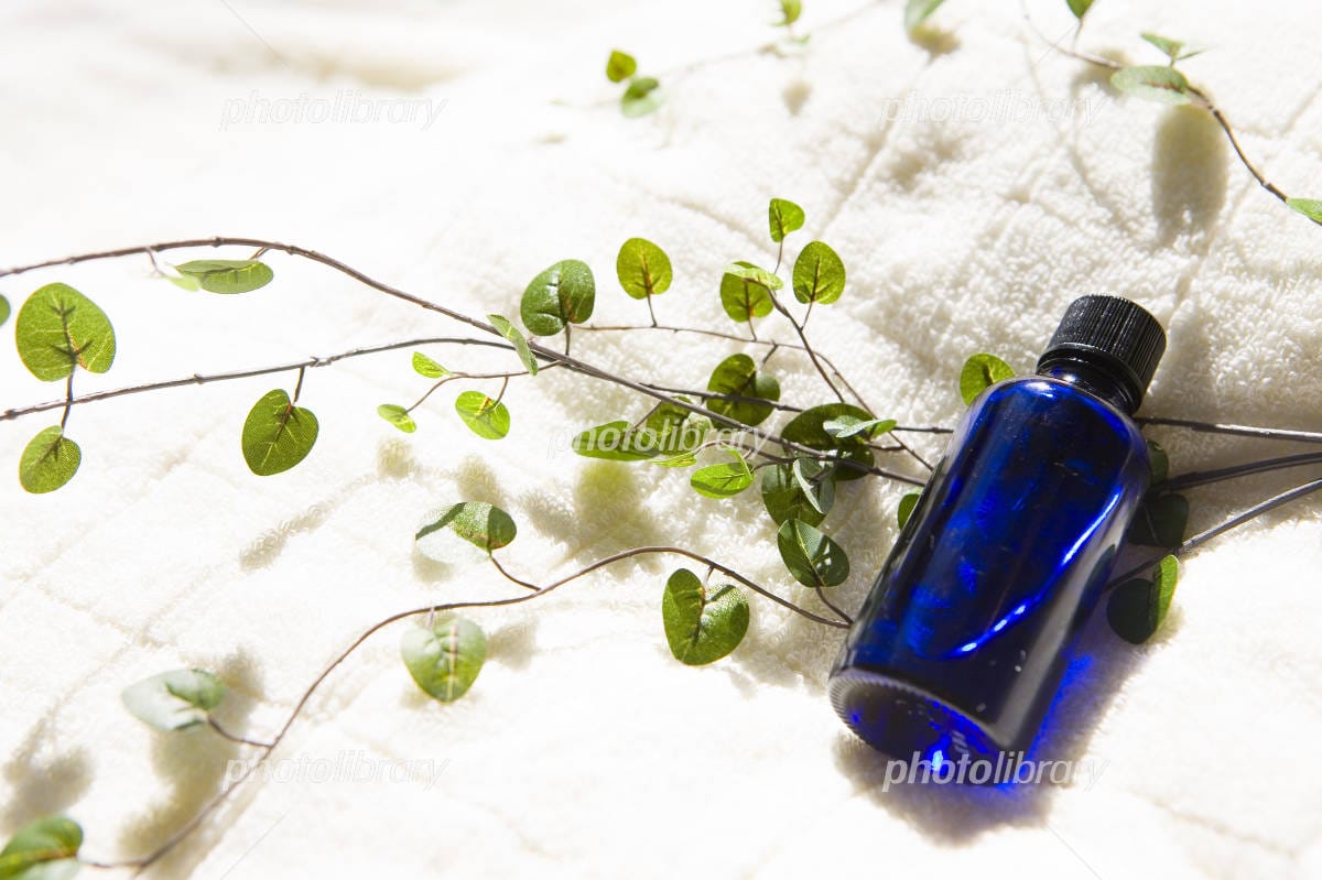 「Water Gate-ウォーターゲート」の応募から採用までの流れSTEP4