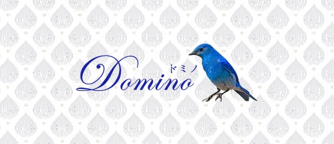 Domino（ドミノ）自由が丘店(自由が丘)のメンズエステ求人・アピール画像1