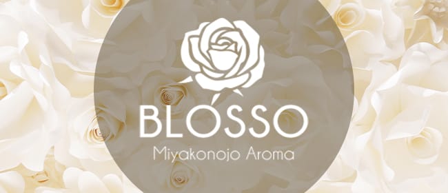 メンズエステ BLOSSO(都城)のメンズエステ求人・アピール画像1