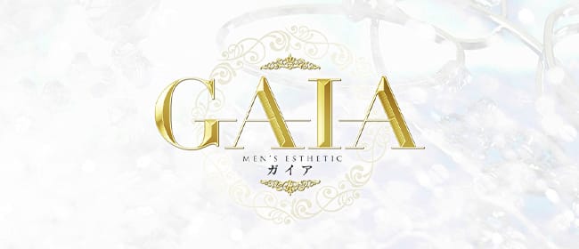 刈谷メンズエステ GAIA~ガイア(岡崎・豊田(西三河))のメンズエステ求人・アピール画像1