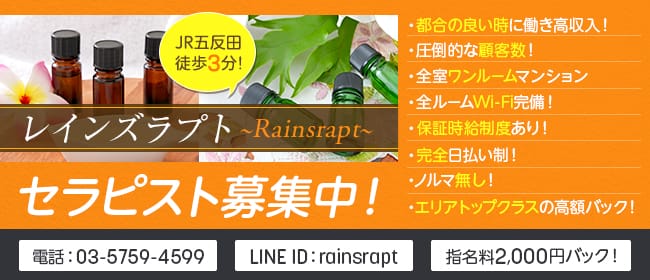 「レインズラプト」の未経験歓迎アピール画像1枚目