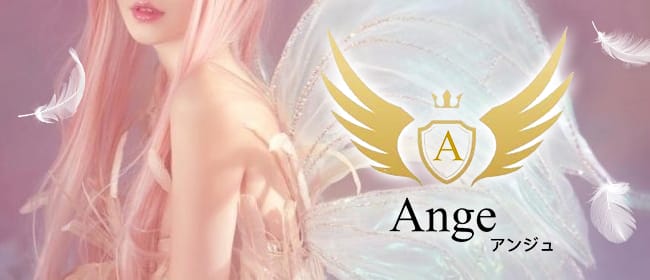 Ange(春日井・一宮・小牧)のメンズエステ求人・アピール画像1