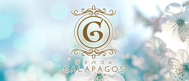 GALAPAGOS（ガラパゴス） 武蔵小杉店(武蔵小杉)のメンズエステ求人・アピール画像1