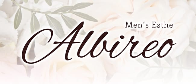 Albireo(アルビレオ)(梅田)のメンズエステ求人・アピール画像1