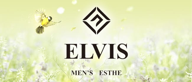 「ELVIS」のアピール画像1枚目