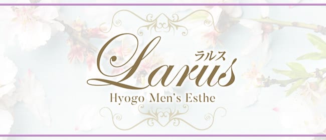 芦屋メンズエステ ラルス Larus(尼崎・西宮)のメンズエステ求人・アピール画像1