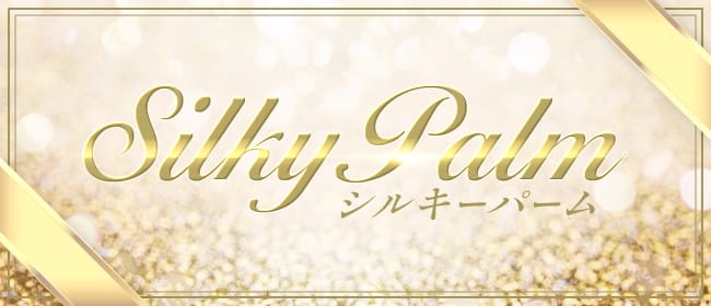 Silky Palm（シルキーパーム）(札幌)のメンズエステ求人・アピール画像1