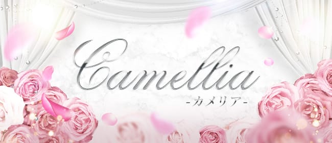 Camellia-カメリア-(中洲・天神)のメンズエステ求人・アピール画像1