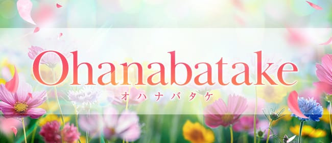 Ohanabatake (オハナバタケ)(日立)のメンズエステ求人・アピール画像1
