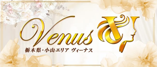 Venus(小山)のメンズエステ求人・アピール画像1