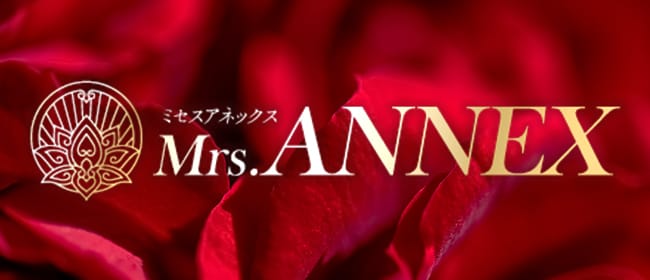 Mrs.ANNEX(梅田)のメンズエステ求人・アピール画像1