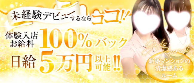 「MITSUBACHI-ミツバチ-」の未経験歓迎アピール画像1枚目