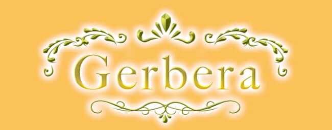Gerbera～ガーベラ(名古屋)のメンズエステ求人・アピール画像1