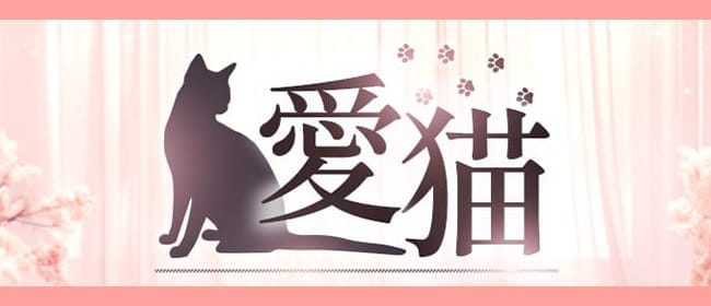 愛猫(伊勢崎)のメンズエステ求人・アピール画像1