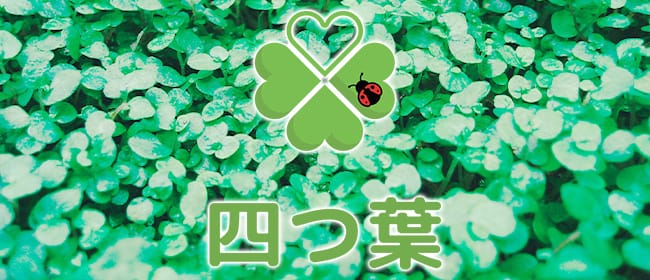 リラクゼーションサロン 四つ葉(札幌)のメンズエステ求人・アピール画像1