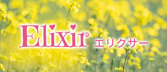 Elixir(豊橋・豊川（東三河）)のメンズエステ求人・アピール画像1