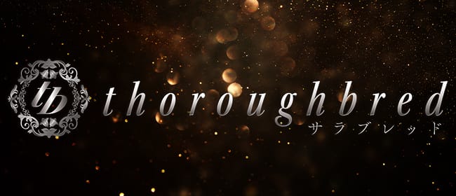 thoroughbred（サラブレッド）(日本橋・千日前)のメンズエステ求人・アピール画像1