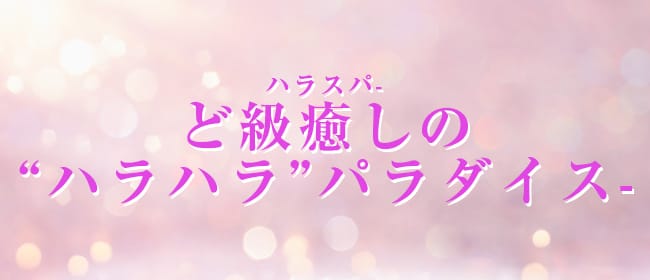 ハラスパ-ど級癒しの“ハラハラ”パラダイス-(岡崎・豊田（西三河）)のメンズエステ求人・アピール画像1