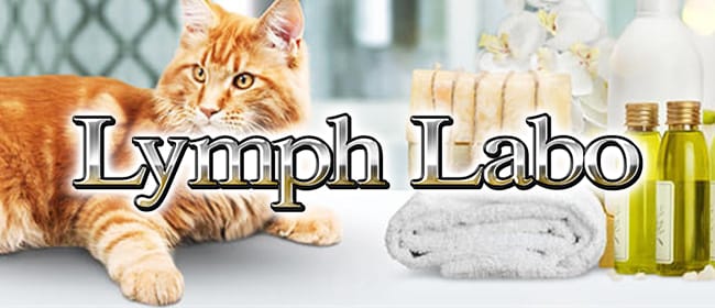 Lymph Labo(池袋)のメンズエステ求人・アピール画像1