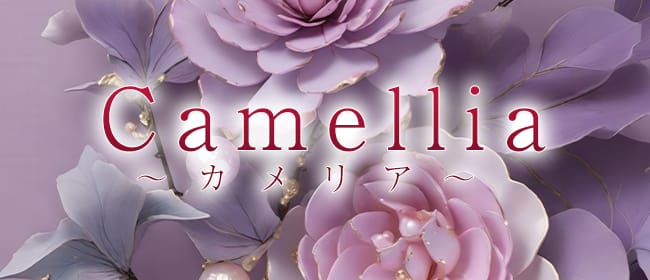 癒しサロン Camellia～カメリア～(松山)のメンズエステ求人・アピール画像1