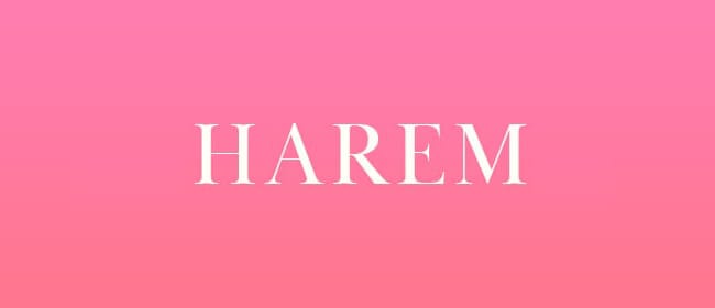 HAREM(岡山市)のメンズエステ求人・アピール画像1