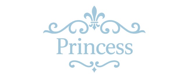 Princess～プリンセス～(松戸)のメンズエステ求人・アピール画像1