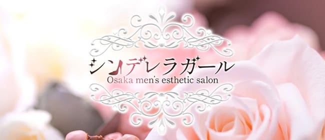 「シンデレラガール」のアピール画像1枚目