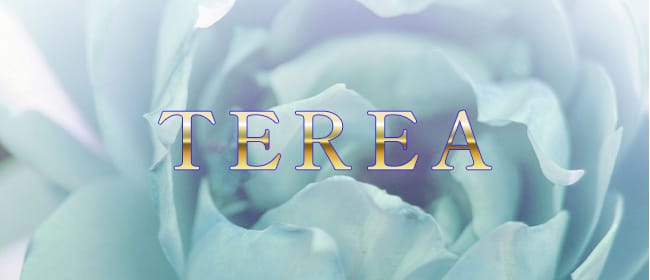 草津メンズエステ TEREA(草津・守山)のメンズエステ求人・アピール画像1