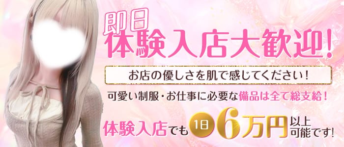 「日本橋スリーパラダイス」の1日体験バイトアピール画像1枚目