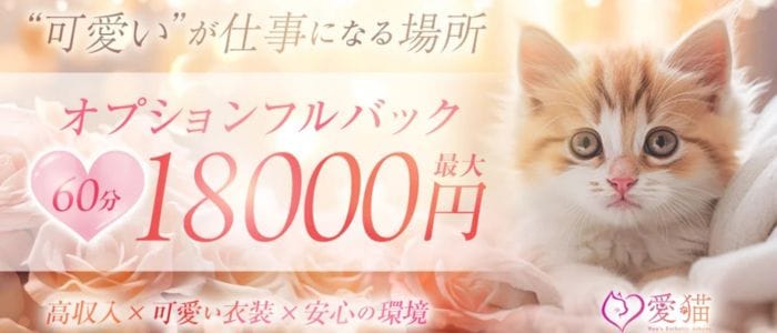 愛猫(伊勢崎)のメンズエステ求人・未経験歓迎アピール画像1