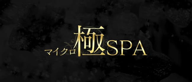 マイクロ極SPA(新橋・汐留)のメンズエステ求人・アピール画像1