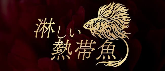 Mrs.淋しい熱帯魚(宇都宮)のメンズエステ求人・アピール画像1