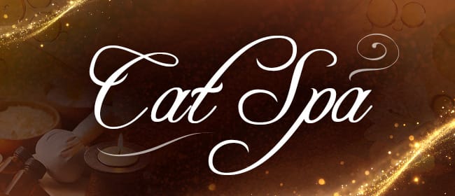 Cat Spa(水戸)のメンズエステ求人・アピール画像1