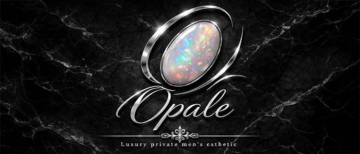 Opale(オパーレ)(所沢・入間)のメンズエステ求人・アピール画像1