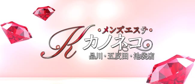メンズエステ カノネコ 品川・五反田・池袋店(五反田周辺)のメンズエステ求人・アピール画像1