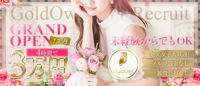 ゴールドアウル(高松)のメンズエステ求人・未経験歓迎アピール画像1