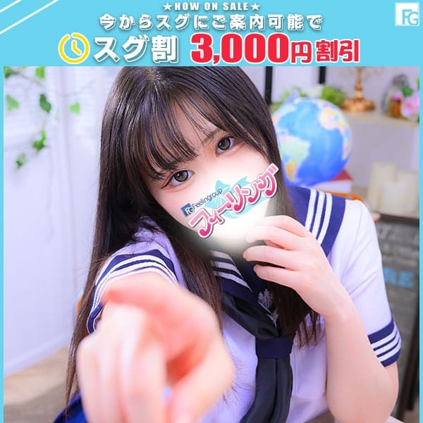 すい【FG系列】