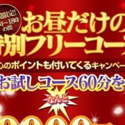 「☆お昼の特別フリーコース☆」08/20(月) 00:30 | 花の都~人妻の都~のお得なニュース