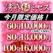 「【今月限定価格】」10/18(木) 22:32 | 誘惑マル秘ミセスのお得なニュース