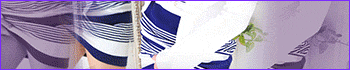 愛特急2006 ANNEX